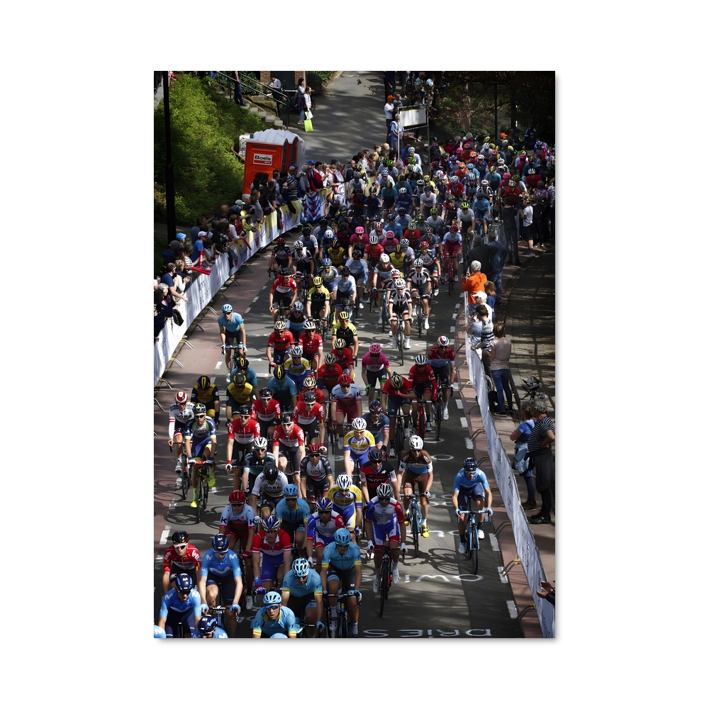 Poster Amstel gold